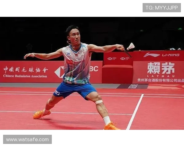 南京羽毛球队在冠军赛中的力量展现与战术分析