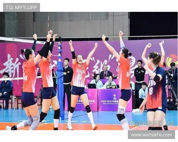 杭州排球队在总决赛中的精彩表现与力量分析