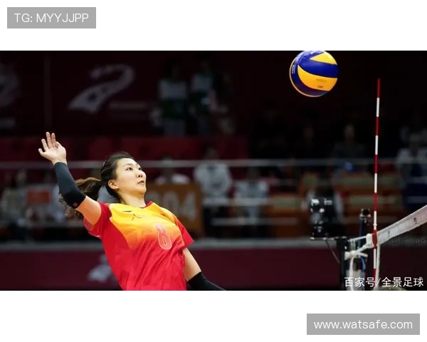 西安羽毛球队转型之路的挑战与机遇全景报道